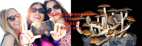 трава Алексеевка