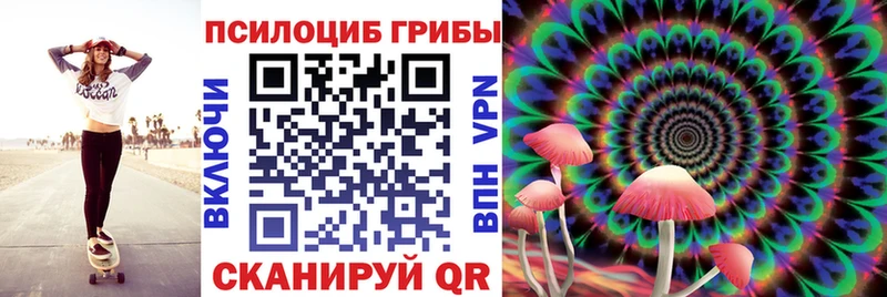 Псилоцибиновые грибы Cubensis Моздок